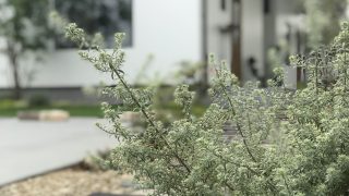 7月12日の営業について