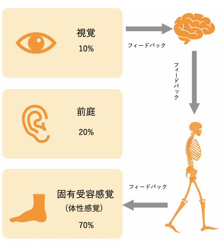 良い姿勢のための感覚チェック | 豊橋でピラティス｜koti pilates