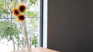 体の原理原則に基づく評価