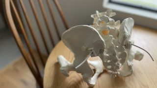 【koti review session】腰痛への機能解剖学的アプローチ