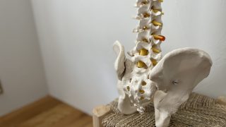 【koti review session】腰痛に対する機能解剖学的アプローチ
