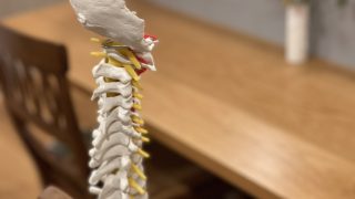 【セミナー】頸部のトラブルに対するピラティスを用いた運動療法