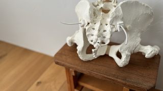 【koti review session】仙腸関節障害に対するアプローチ
